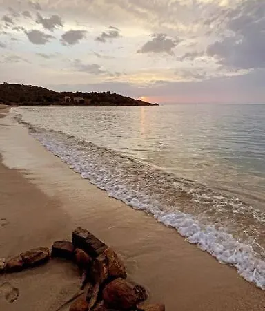 Studio Atypique A 8km De La Mer Apartment Belgodere (Corsica)